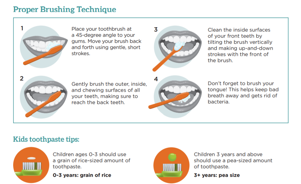 Proper Brushing Technique